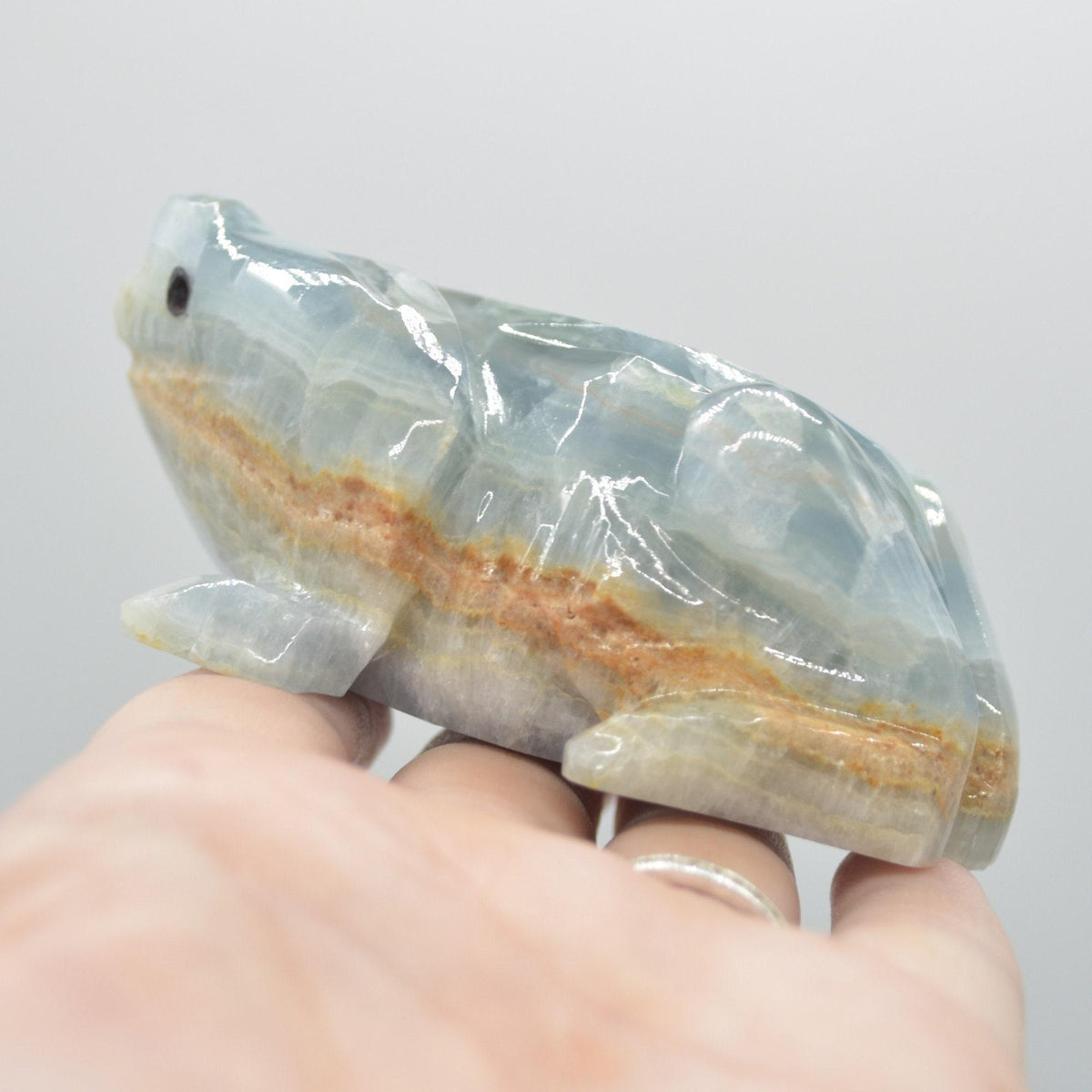 Blue Onyx (Lemurian Aquatine Calcite) Crystal Carved Frog / Toad - 289 grams #04