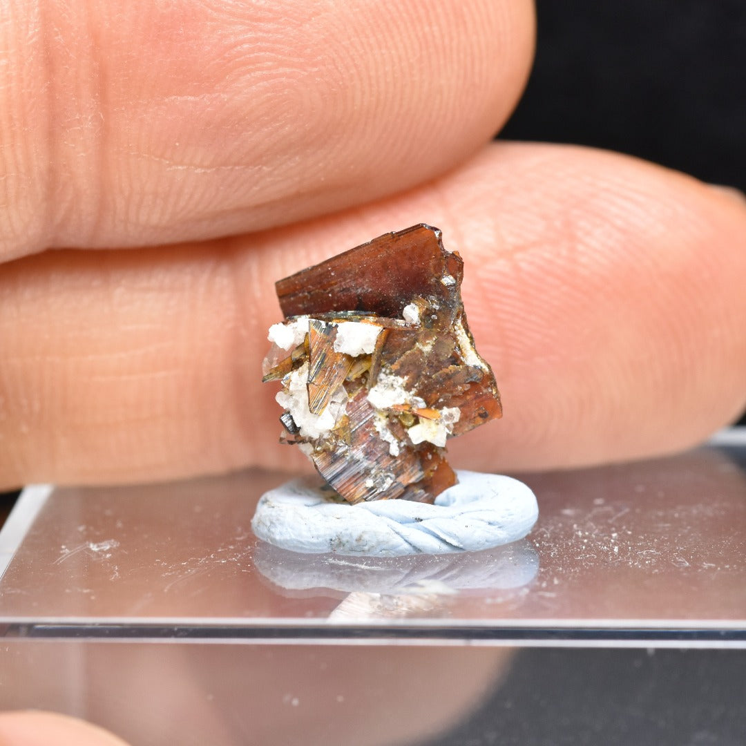 Red Brookite Crystal Specimen with Quartz RARE from Pakistan - 2ct, 0.47grams - 1.2cm