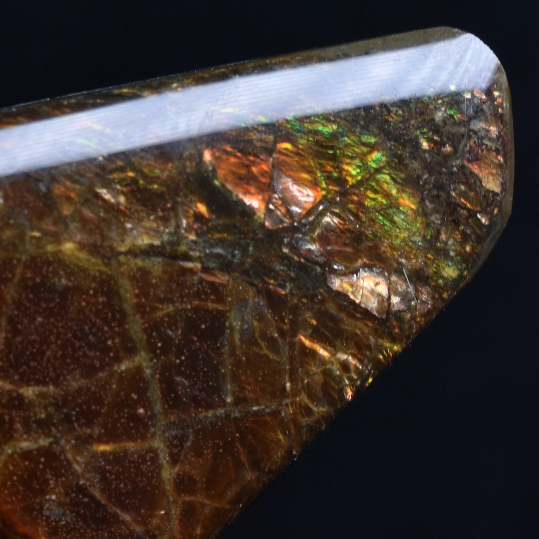 Canadian Natural Ammolite, Ammonite Freeform Polished Cabochon Specimen - 3cm x 2.3cm - 5.3 grams