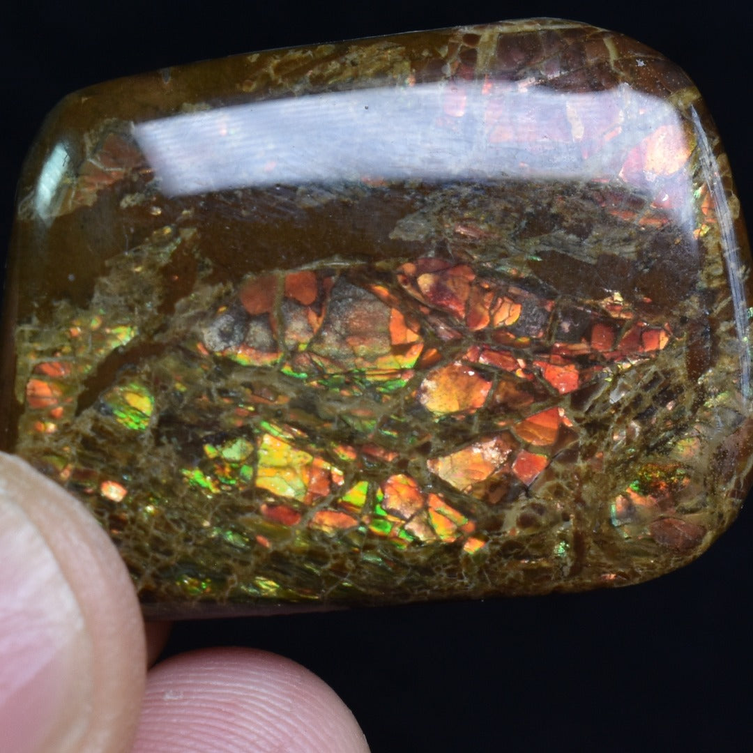 Canadian Natural Ammolite, Ammonite Freeform Polished Cabochon Specimen - 3.2cm x 2.3cm - 5.7 grams