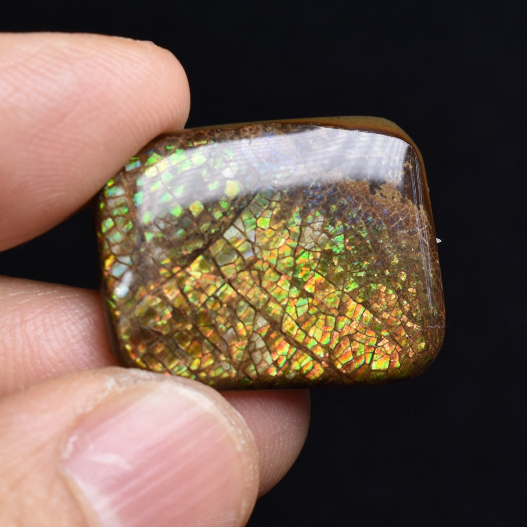Canadian Natural Ammolite, Ammonite Freeform Polished Cabochon Specimen - 2.5cm x 1.9cm - 3.8 grams