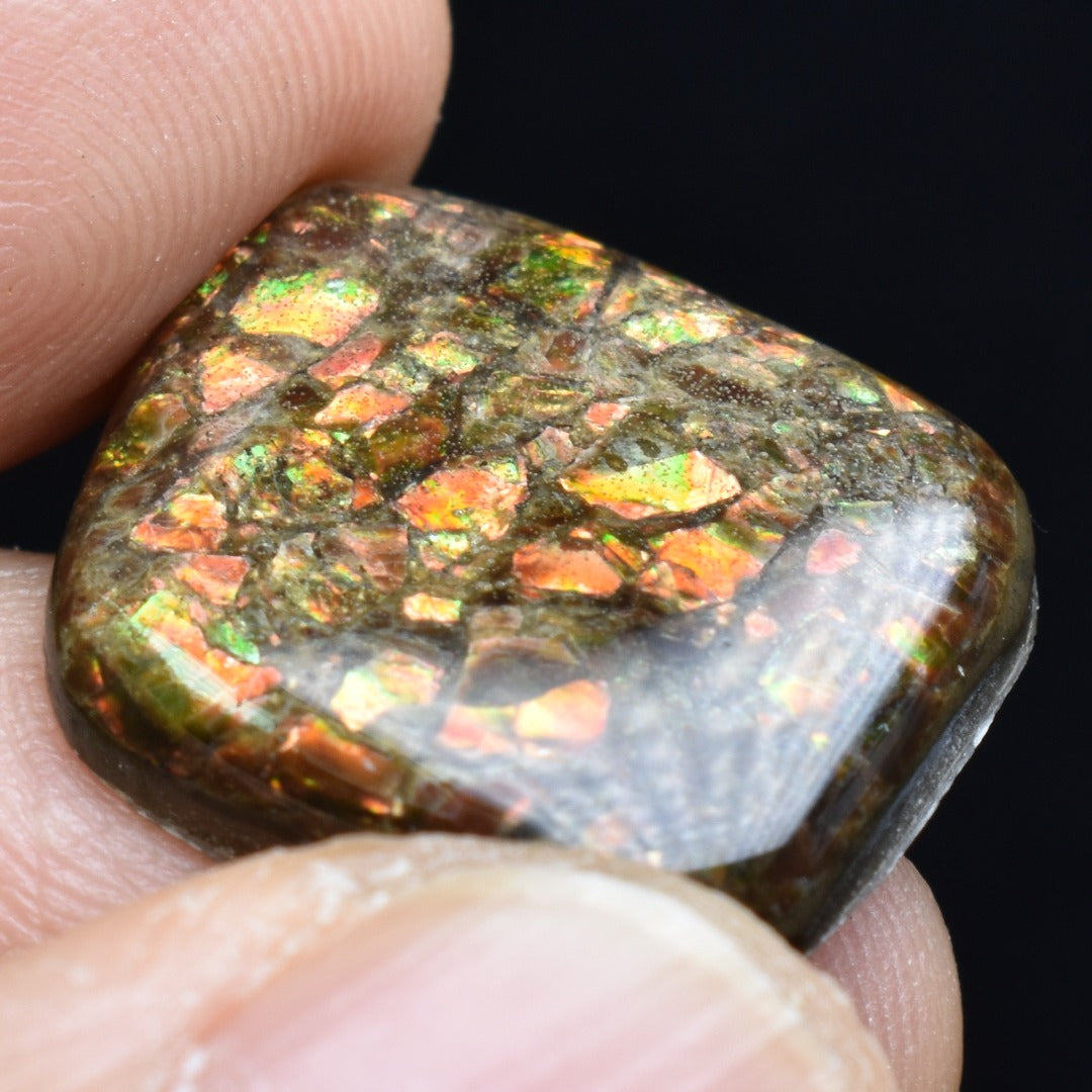 Canadian Natural Ammolite, Ammonite Freeform Polished Cabochon Specimen - 2cm x 1.7cm - 3 grams