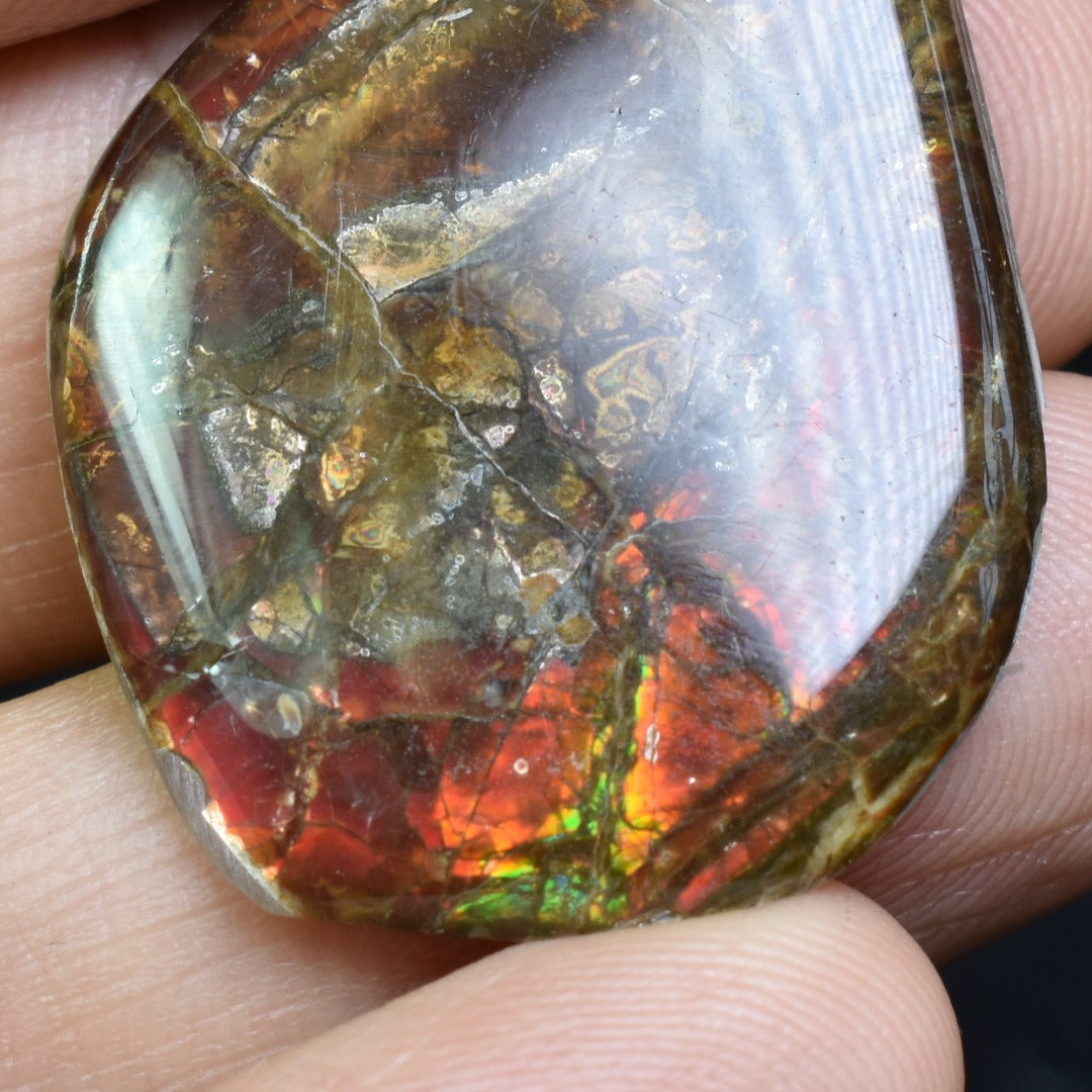 Canadian Natural Ammolite, Ammonite Freeform Polished Cabochon Specimen - 3.5cm x 2.6cm - 3.1 grams