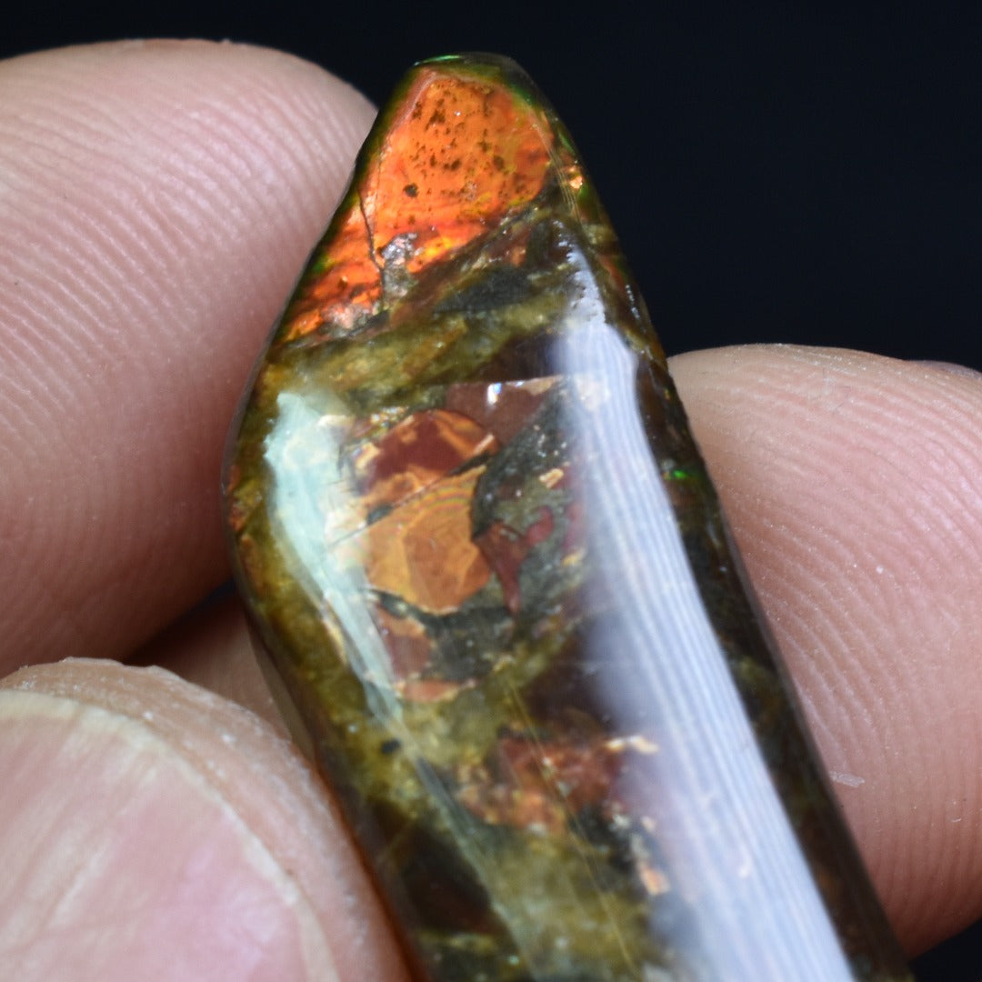Canadian Natural Ammolite, Ammonite Freeform Polished Cabochon Specimen - 3.7cm x 1.7cm - 5.2 grams