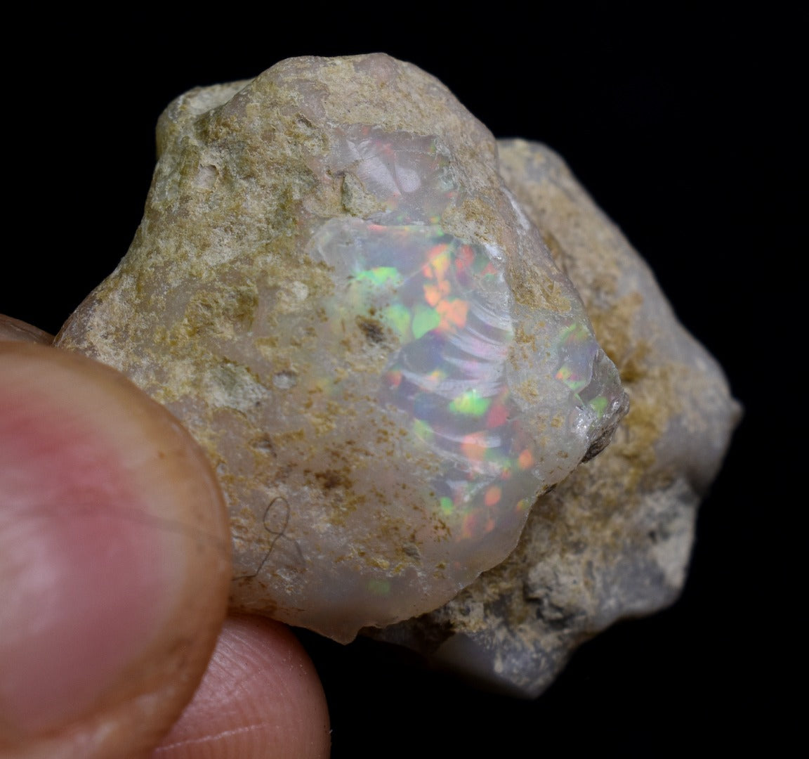 Large Ethiopian Welo Rough Opal Top Grade Specimen - 44ct weight #125