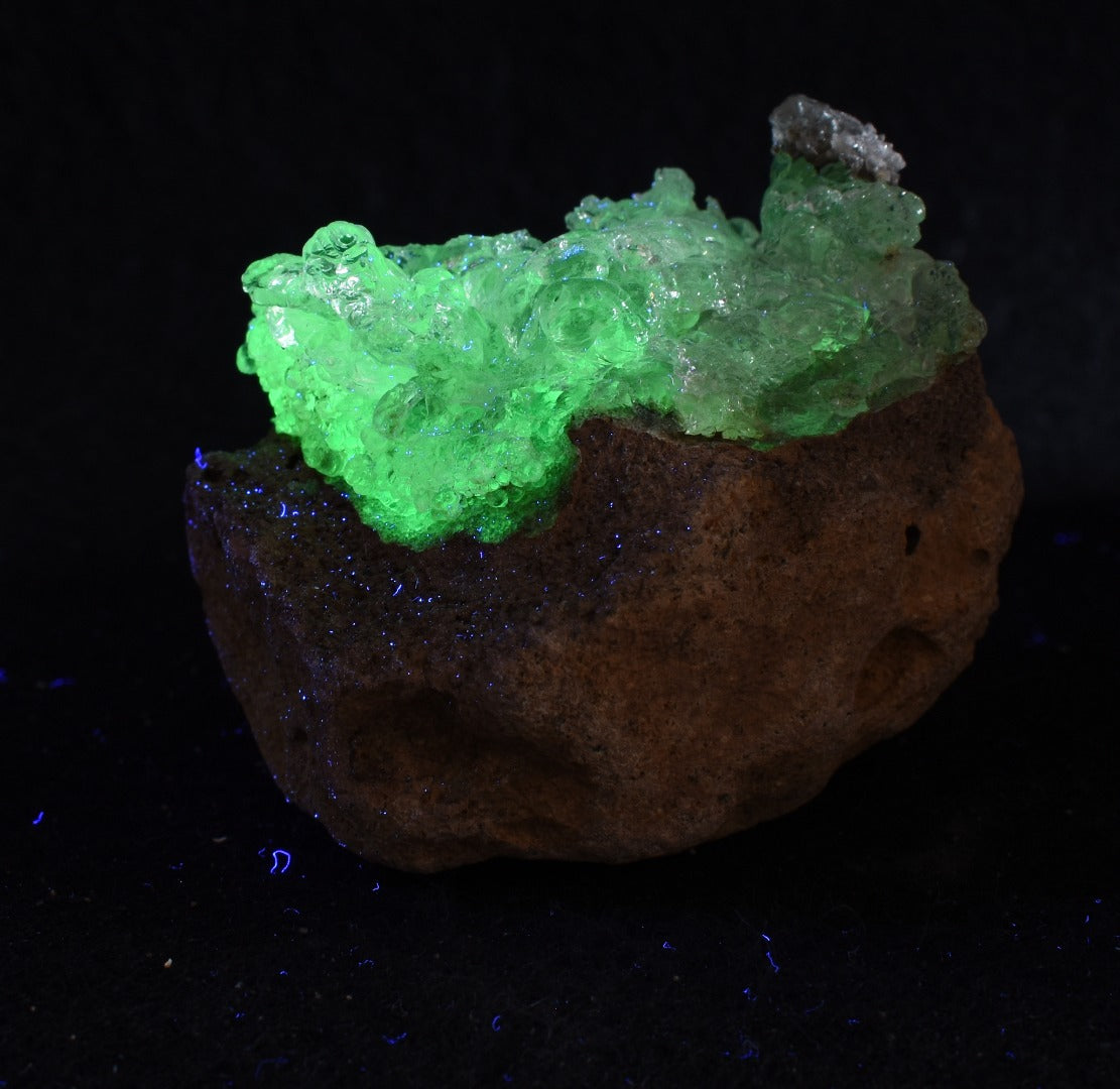 Mexican Hyalite Opal Collector Grade Specimen Stone on Matrix - UV Reactive Fluorescent - 76 grams #13