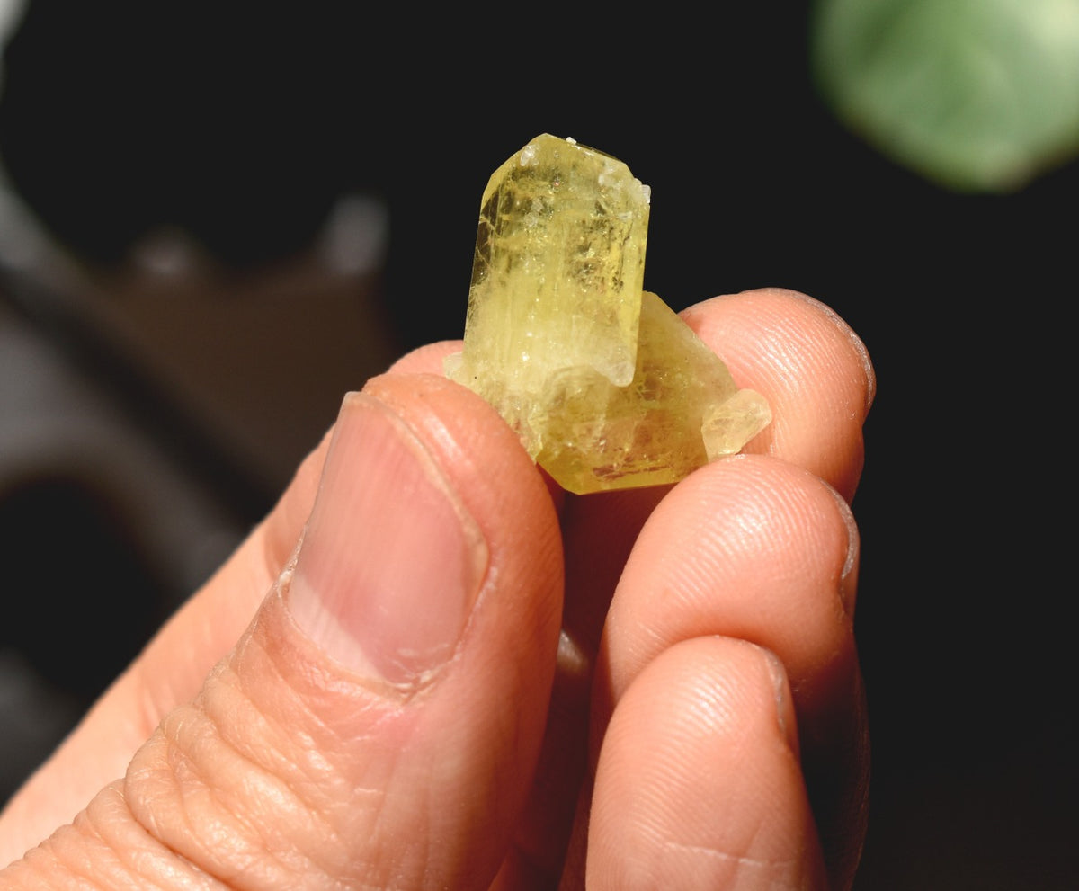Brazilianite Crystal Cluster - from Linopolis, Minas Gerais, Brazil, museum quality, 3.4g