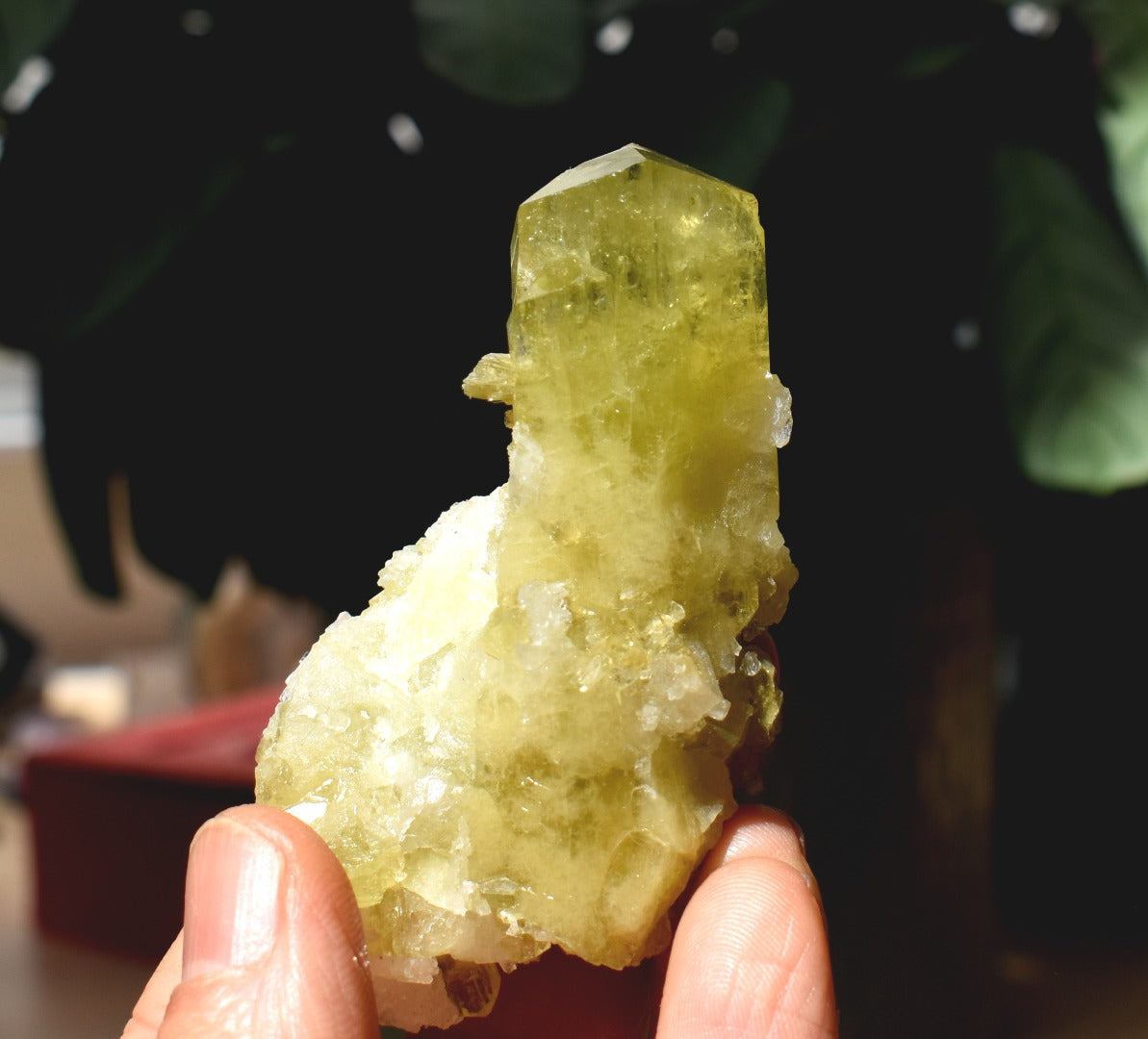 Brazilianite Crystal Cluster with Albite & Muscovite - from Linopolis, Minas Gerais, Brazil, museum quality, 76g