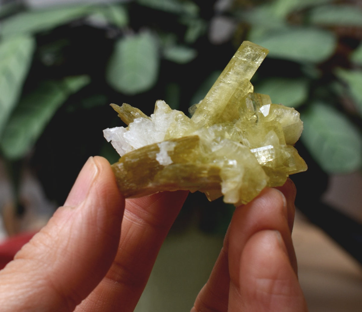 Brazilianite Crystal Cluster with Albite & Muscovite - from Linopolis, Minas Gerais, Brazil, museum quality, 35g