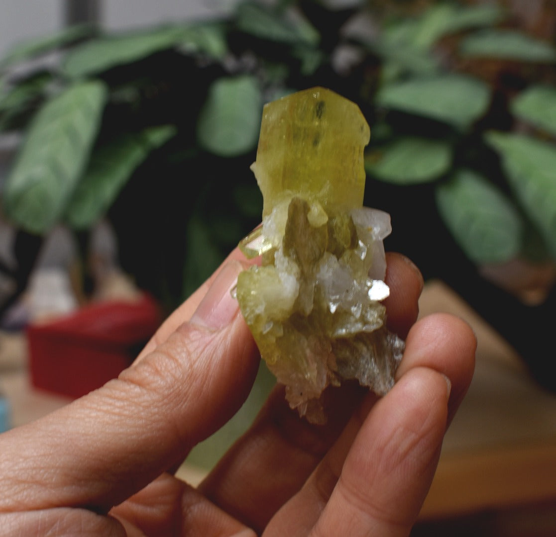 Brazilianite Crystal Cluster with Albite & Muscovite - from Linopolis, Minas Gerais, Brazil, museum quality, 42g