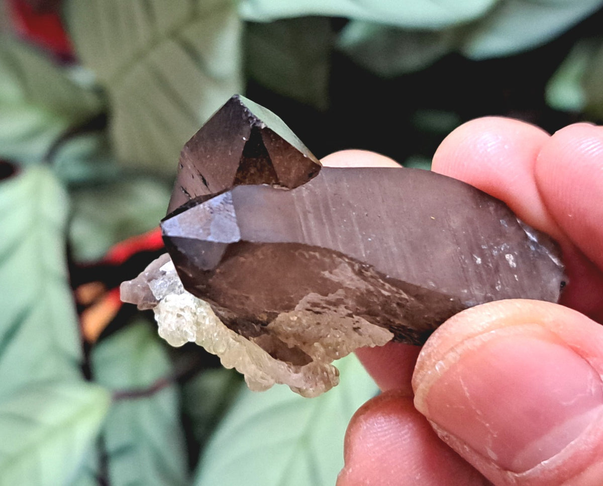 Fluorescent Hyalite Opal with Smoky Quartz - Mineral from Erongo Mountains Namibia, 26 grams