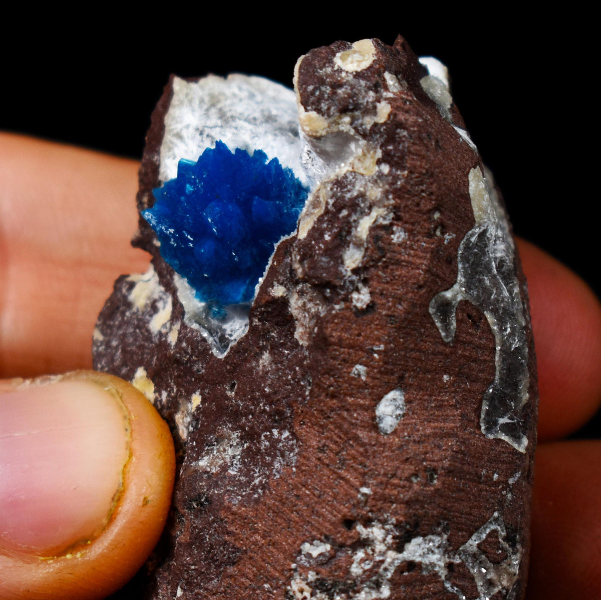 Rare Cavansite Cluster with Stilbite & Mordenite On Matrix from Wagholi, Pune, India - 57 grams