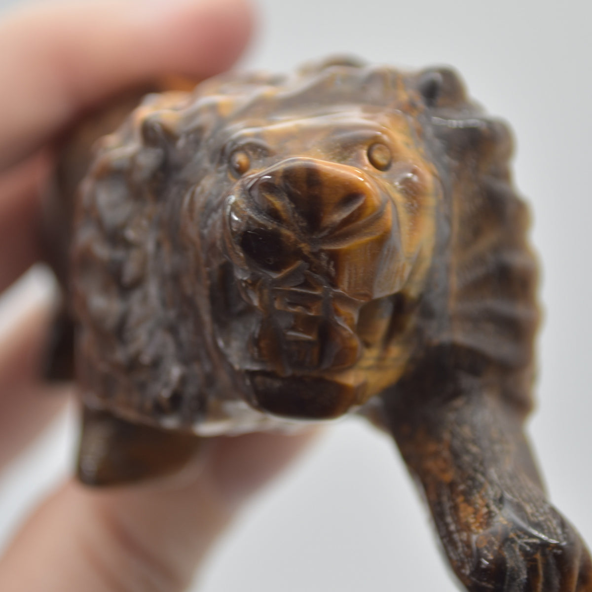 Tiger Eye Gemstone Carving - Lion - 9.5cm - #01
