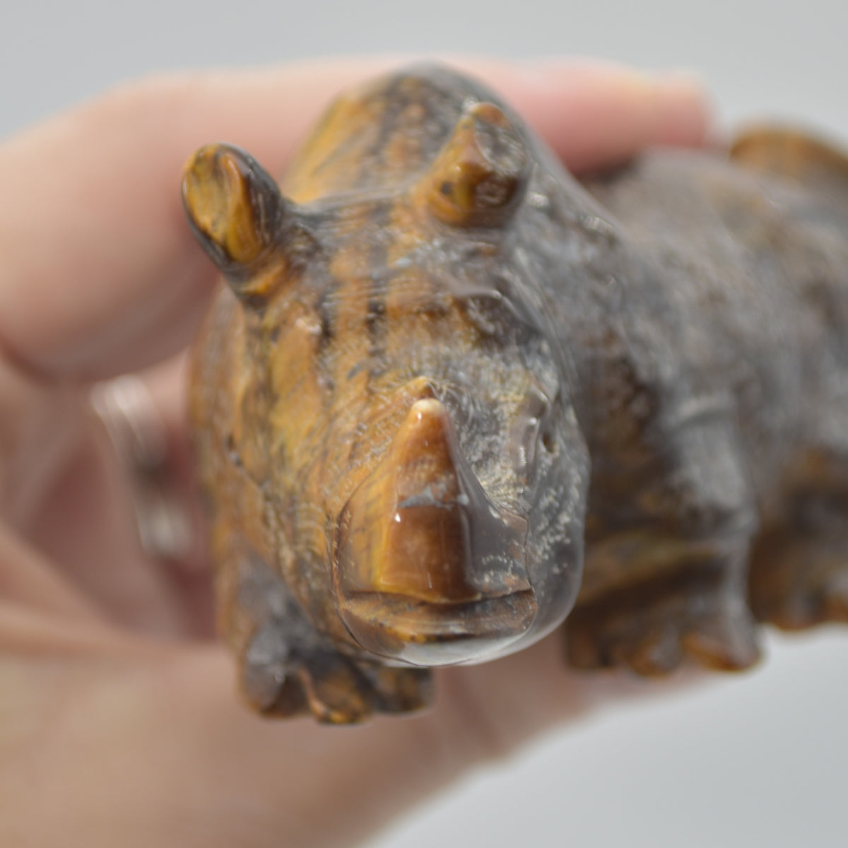Tiger Eye Gemstone Carving - Rhino - 10.5cm - #01