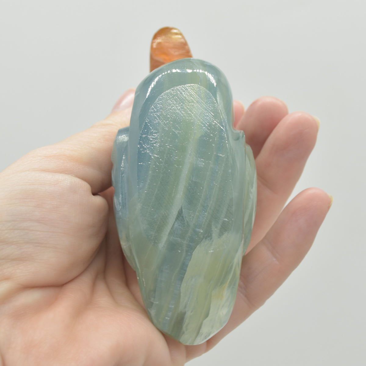 Blue Onyx (Lemurian Aquatine Calcite) Crystal Carved Duck - 237 grams #02
