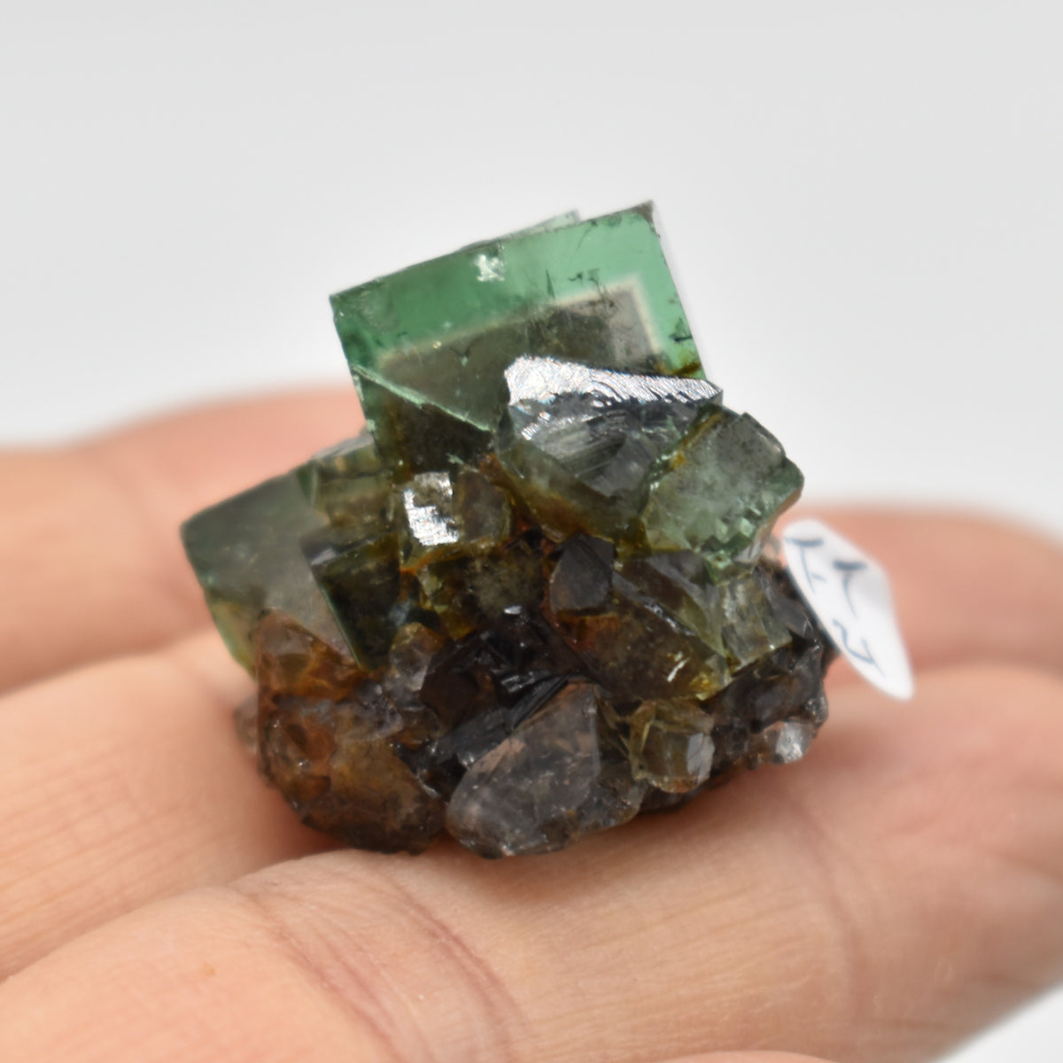 Diana Maria Fluorite Raw Crystal Cluster Specimen - Sourced UK - 8 sizes