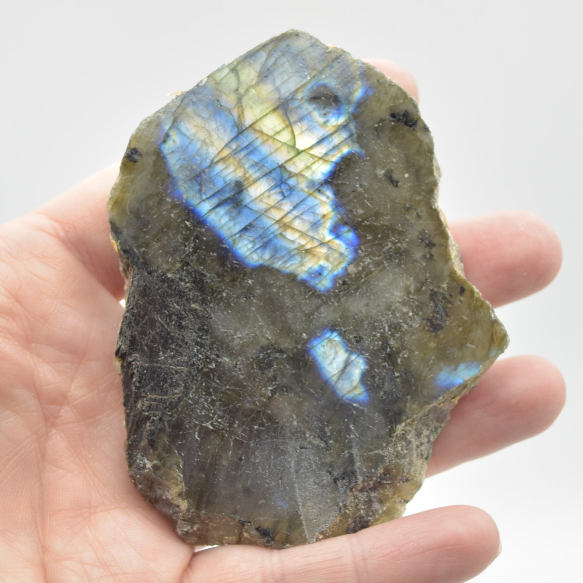 Labradorite Freeform Slice - 90 grams - #01