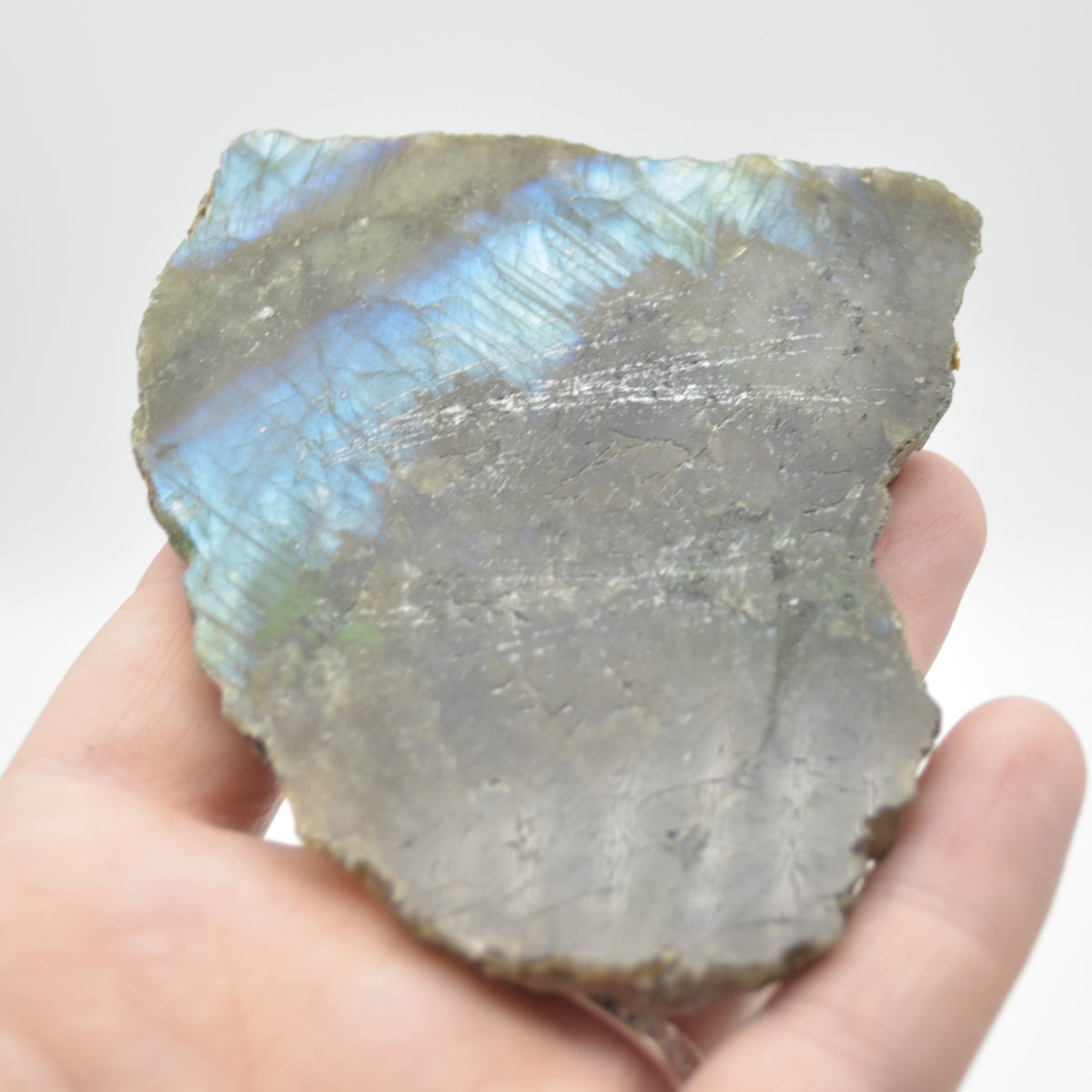 Labradorite Freeform Slice - 80 grams - #06