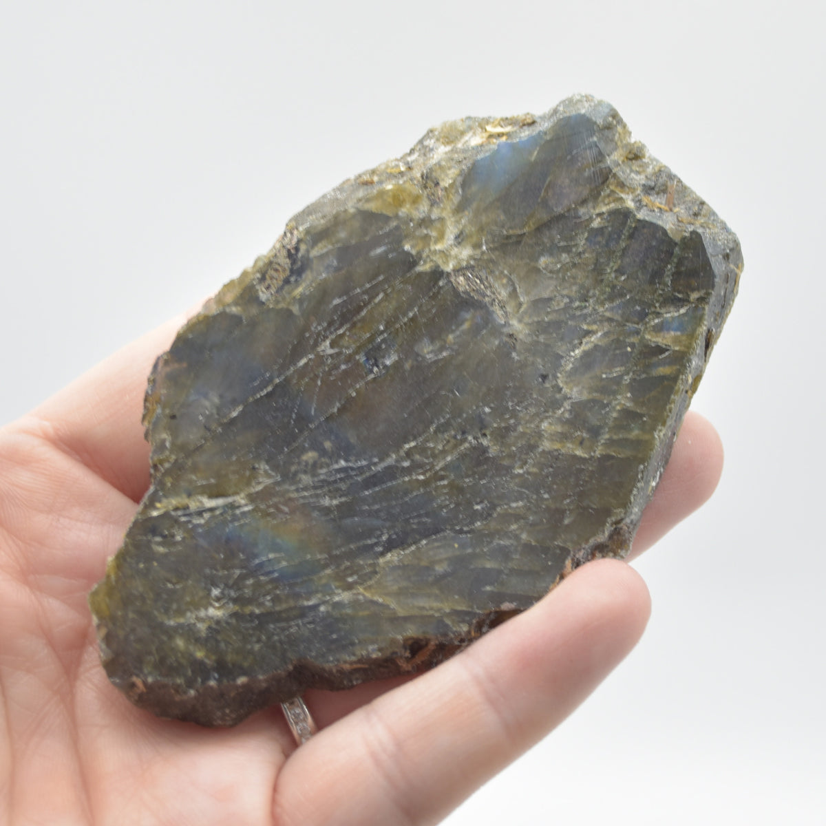 Labradorite Freeform Slice - 81 grams - #11