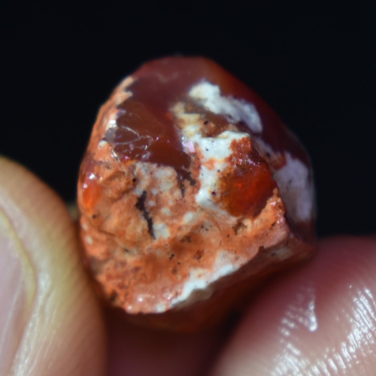 Mexican Rough Raw Fire Opal in Matrix Specimen Stones - 6 count - 67.5ct #47