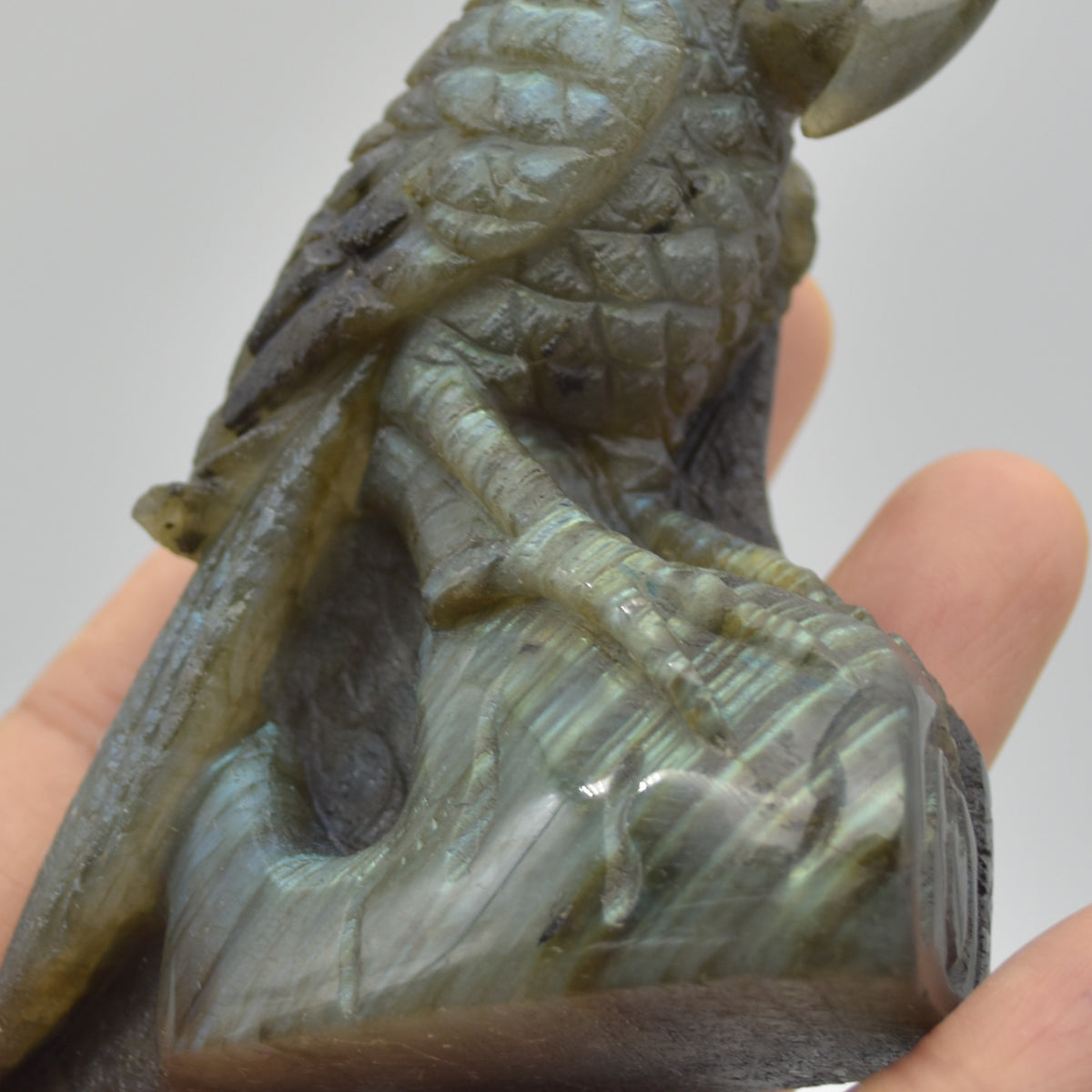 Labradorite Crystal Parrot on Branch - Part Carved - 8cm x 7cm x 3.5cm - 205 grams #05