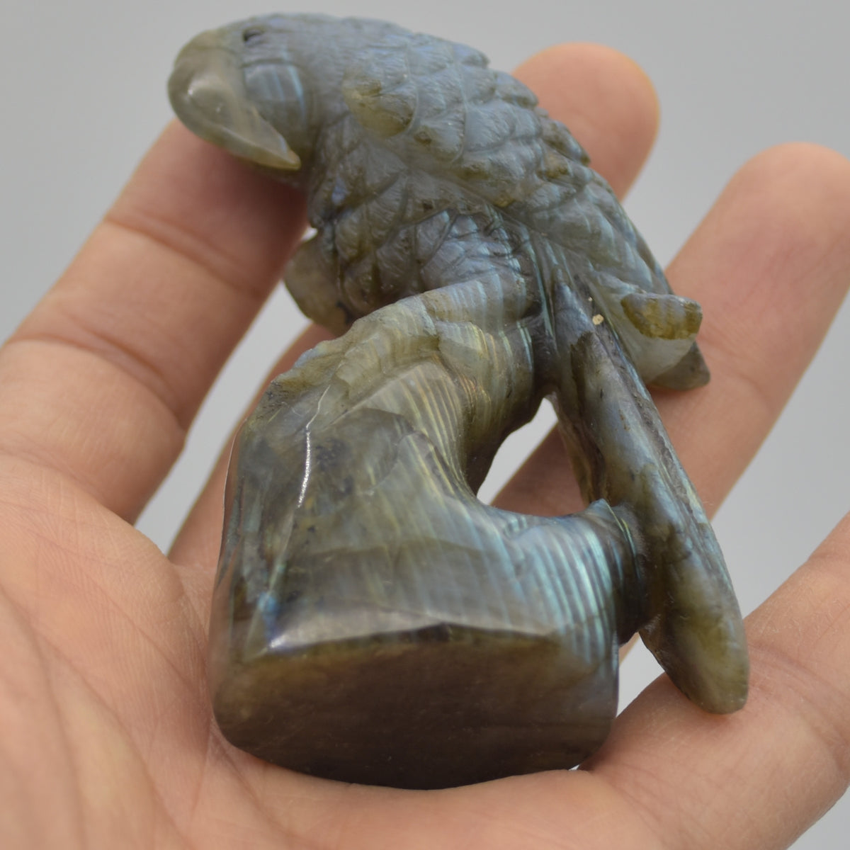 Labradorite Crystal Parrot on Branch - 8cm x 4.5cm x 3cm - 100 grams #09
