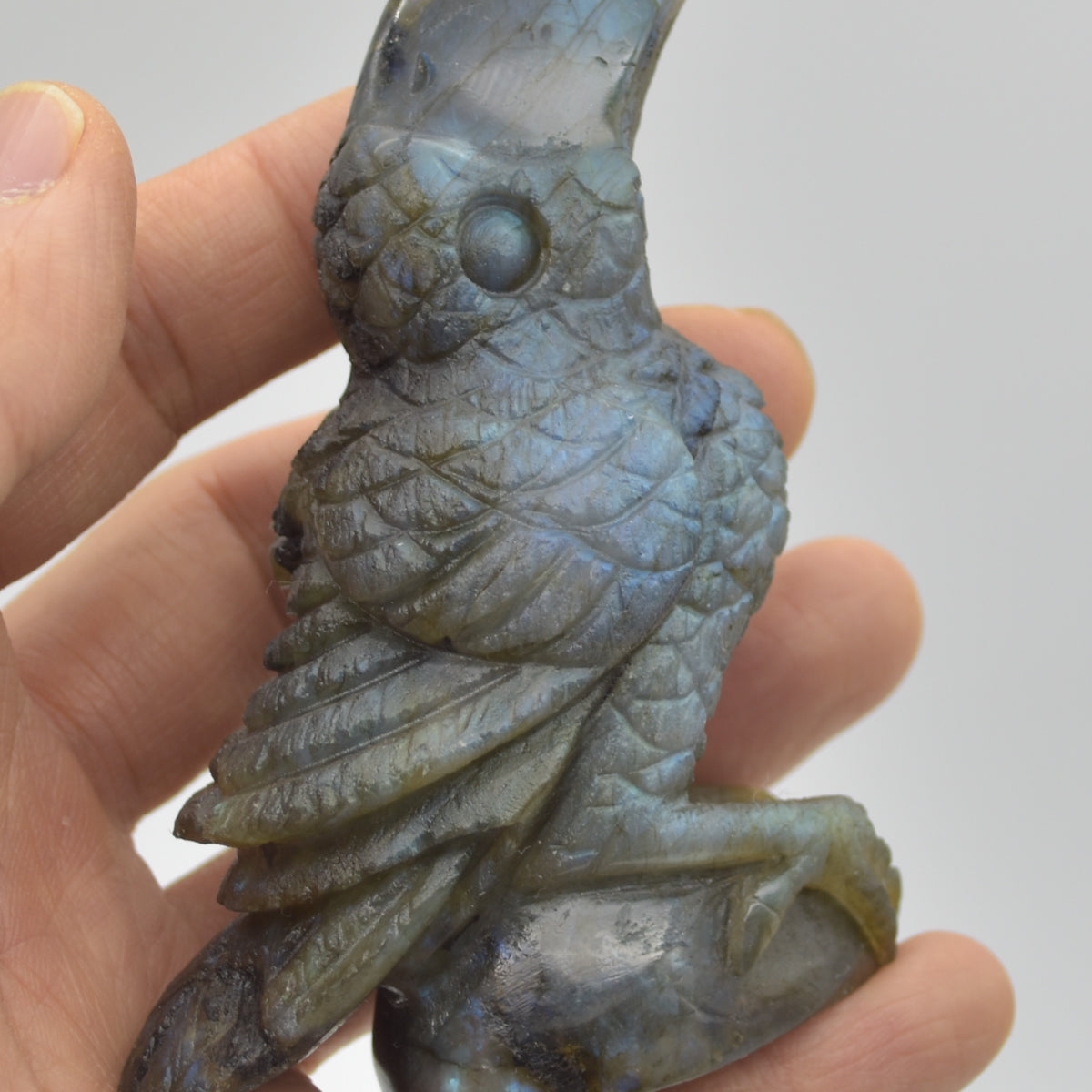 Labradorite Crystal Toucan on Rock - 9cm x 7cm x 3.5cm - 154 grams #05