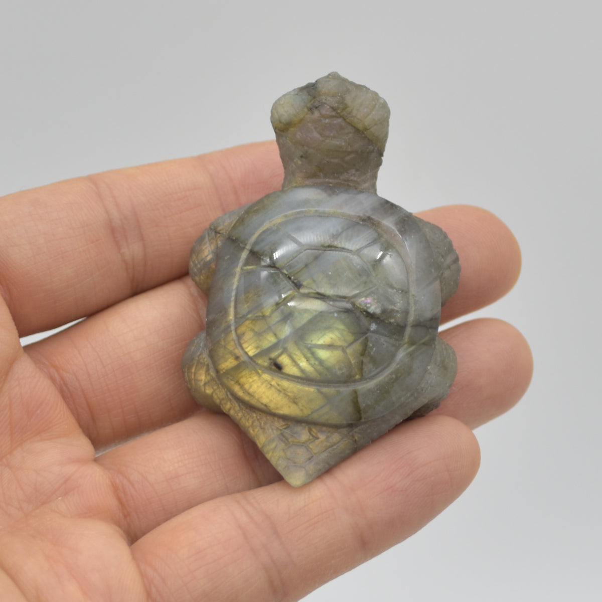 Labradorite Crystal Turtle - 2cm x 5.5cm x 4cm - 47 grams #01