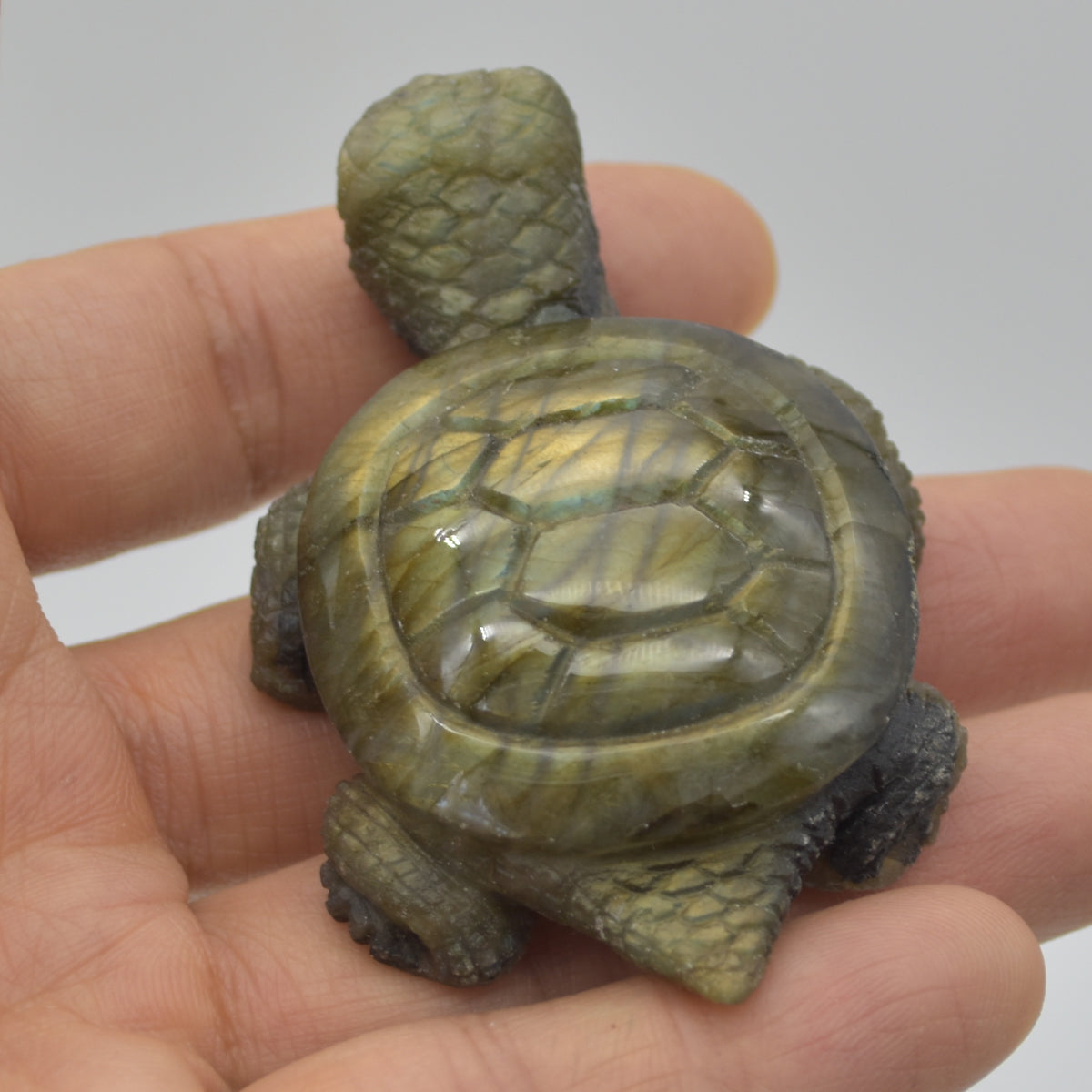 Labradorite Crystal Turtle - 2cm x 7cm x 4.5cm - 63 grams #02