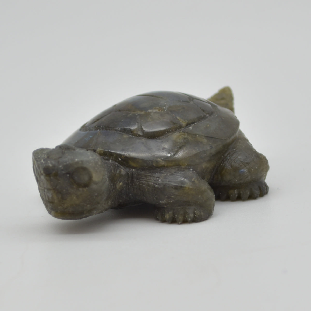 Labradorite Crystal Turtle - 2.5cm x 7.5cm x 5cm x - 83 grams #03