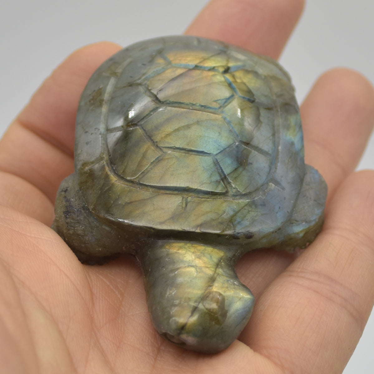 Labradorite Crystal Turtle - 2cm x 7cm x 5cm x - 72 grams #05