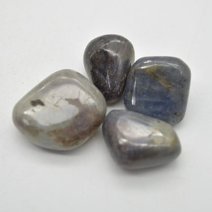 Iolite Tumbled Pebble Stones - 4 Count #01