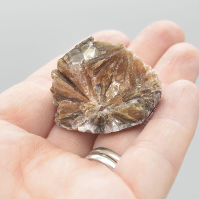 Raw Daisy Bed Gypsum Specimen Rock - 85 grams