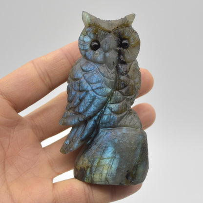 Labradorite Crystal Carved Owl - 8.5cm - 167 grams #01