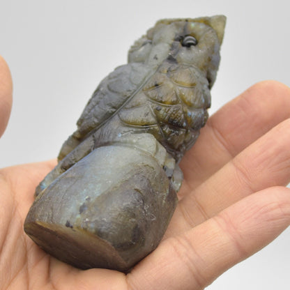 Labradorite Crystal Carved Owl - 8.5cm - 167 grams #01