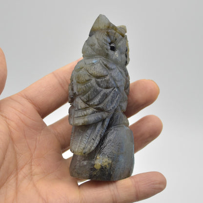 Labradorite Crystal Carved Owl - 8.5cm - 167 grams #01