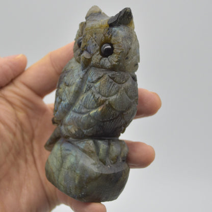 Labradorite Crystal Carved Owl - 10cm - 315 grams #19