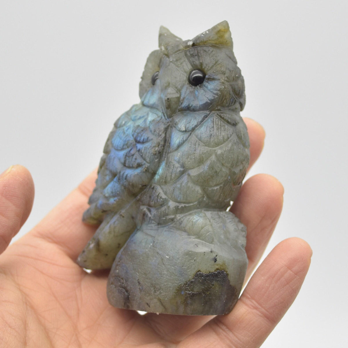 Labradorite Crystal Carved Owl - 9cm - 211 grams #18