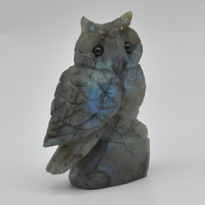 Labradorite Crystal Carved Owl - 9cm - 211 grams #18