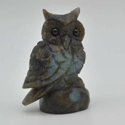 Labradorite Crystal Carved Owl - 8.5cm - 196 grams #16