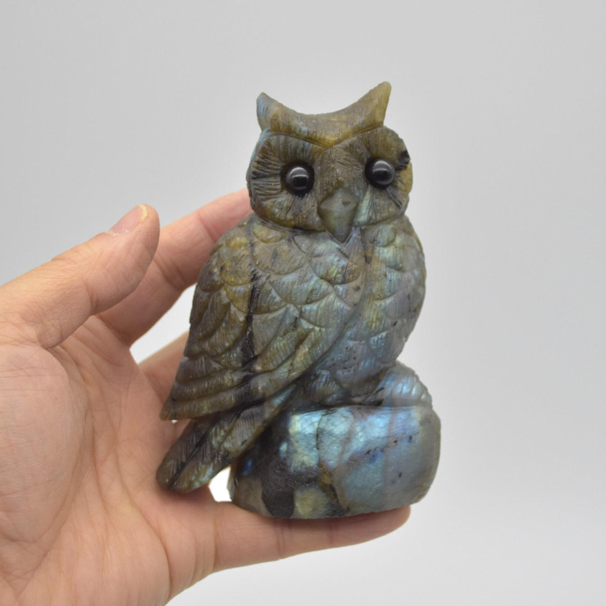 Labradorite Crystal Carved Owl - 11.5cm - 496 grams #15
