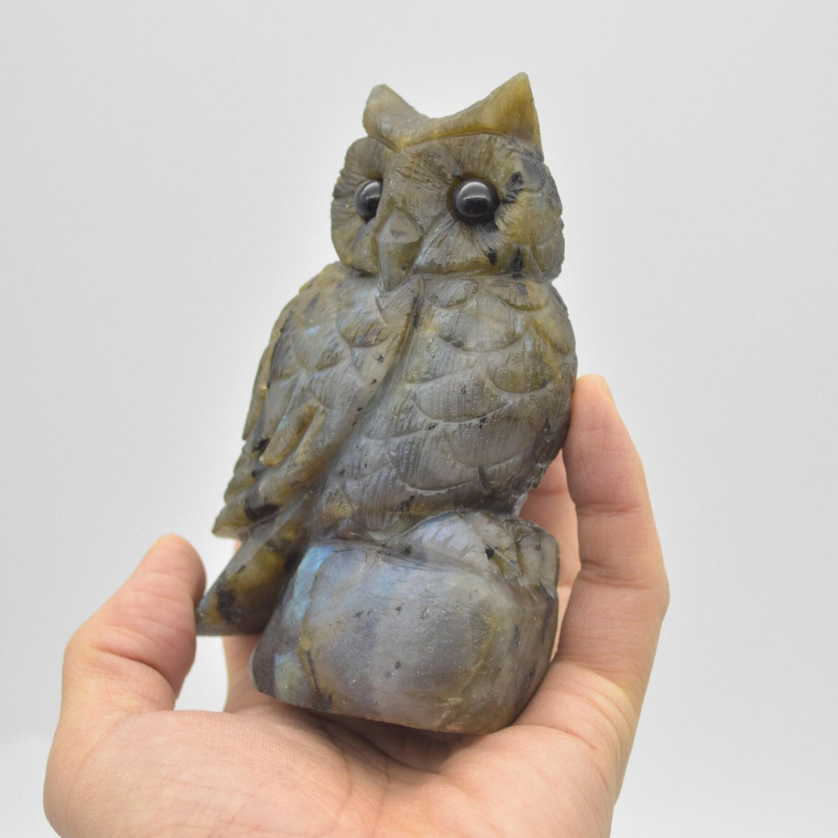 Labradorite Crystal Carved Owl - 11.5cm - 496 grams #15