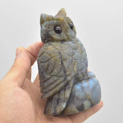 Labradorite Crystal Carved Owl - 11.5cm - 496 grams #15