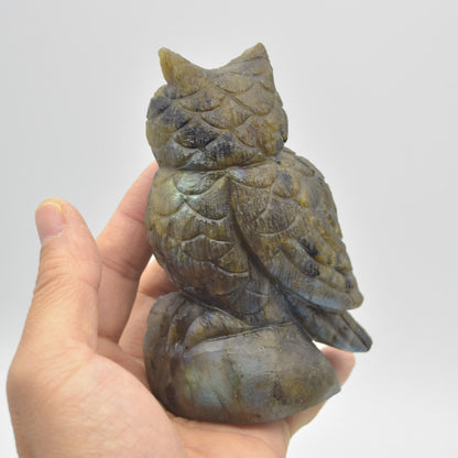 Labradorite Crystal Carved Owl - 11.5cm - 496 grams #15