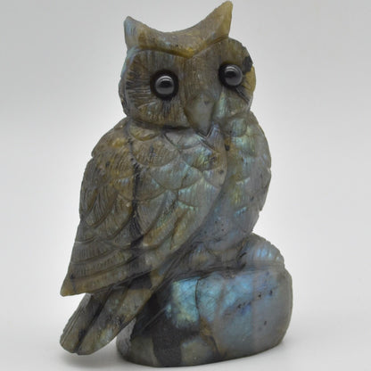 Labradorite Crystal Carved Owl - 11.5cm - 496 grams #15