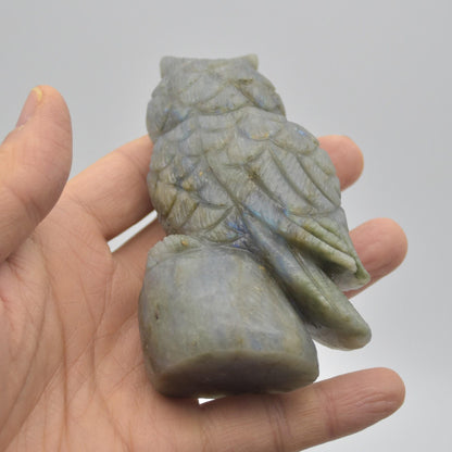 Labradorite Crystal Carved Owl - 10cm - 238 grams #13