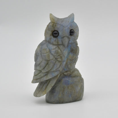Labradorite Crystal Carved Owl - 10cm - 238 grams #13