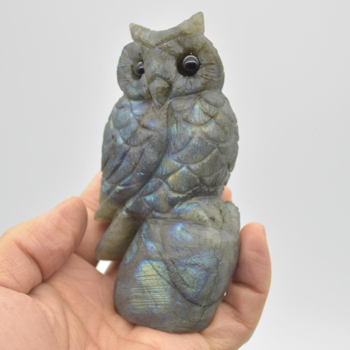 Labradorite Crystal Carved Owl - 11cm - 319 grams #12