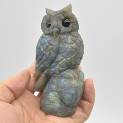 Labradorite Crystal Carved Owl - 11cm - 319 grams #12