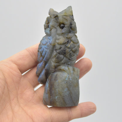 Labradorite Crystal Carved Owl - 10cm - 194 grams #11